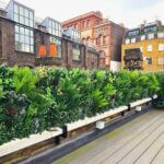 A rooftop garden with lush green foliage against a background of brick buildings featuring large windows. The sky is overcast, adding a soft light to the urban scene.