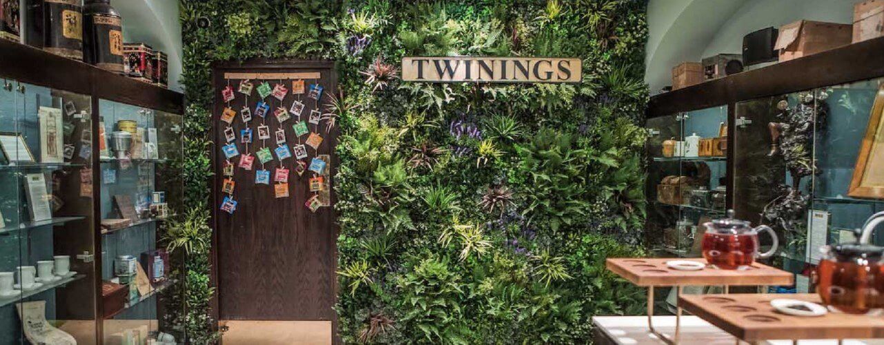 A room with walls lined with lush green plants and a Twinings sign. Artificial displays of tea sets and vintage items are on either side. A wooden door at the back is decorated with colorful photos. Tables display teapots and cups, creating a charming ambiance.