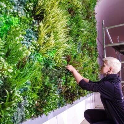 A person with short blonde hair tends to a vertical garden filled with lush green plants. They are kneeling and adjusting the foliage on the artificial green wall fixing system, with a metal scaffold visible in the background.