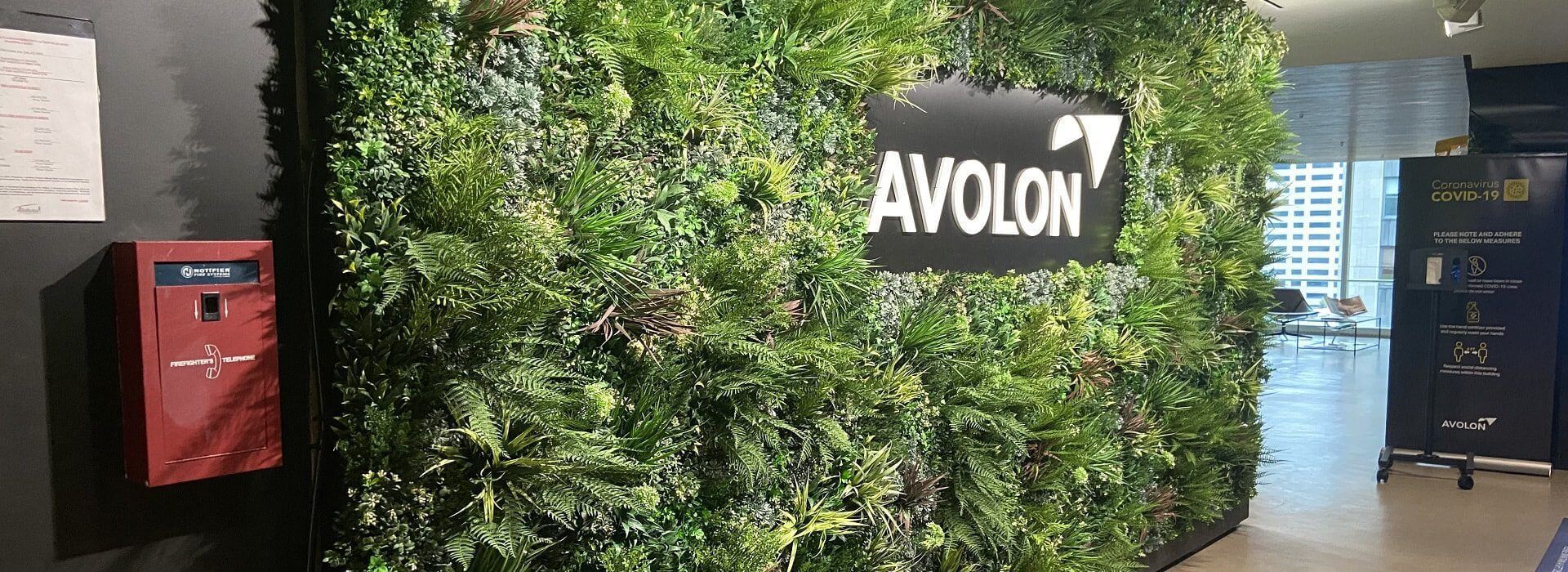 A green wall with various plants surrounds a large sign that reads AVOLON, framing the Avolon Office in Brooklyn, New York. Nearby, a red fire alarm and a COVID-19 guidelines board are visible. The background includes a window showing a cityscape.