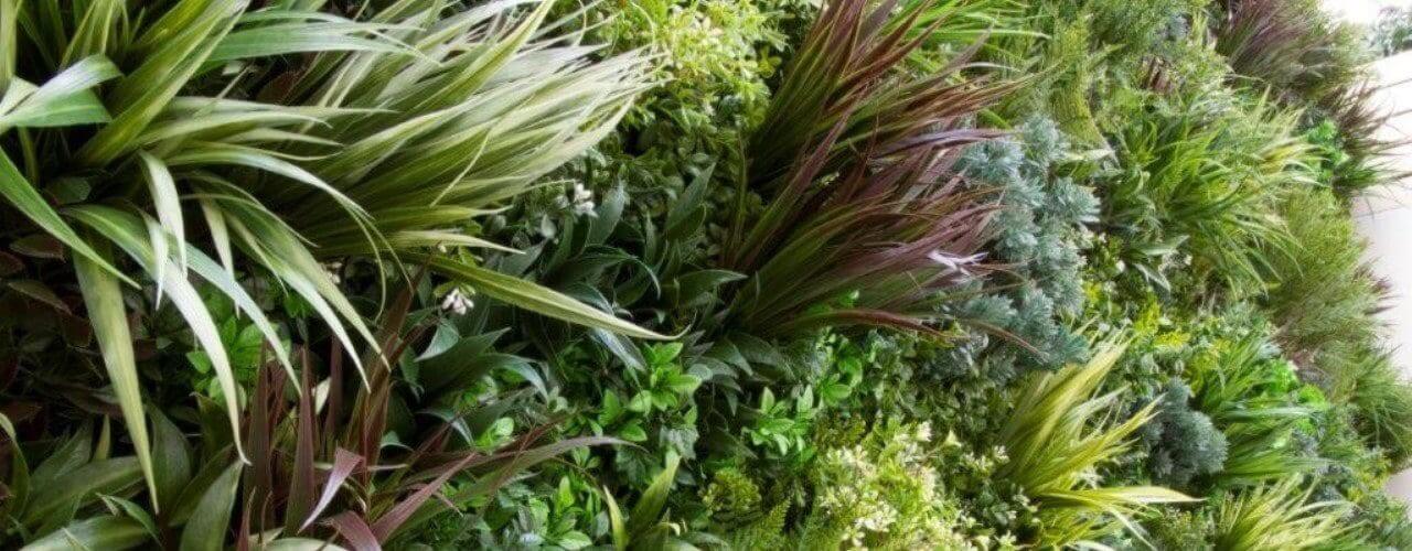 A lush green living wall featuring various leafy plants in diverse shades of green and purple. With long, spiky leaves and dense foliage, it creates a vibrant texture, demonstrating why artificial green walls can sometimes be the better choice for lasting beauty without maintenance.