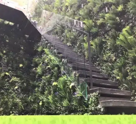 A modern staircase with transparent railings ascends alongside a lush green vertical garden wall, embodying the essence of a residential green wall in Covent Garden. The dark steps contrast with the vibrant foliage while sunlight filters through, creating a bright and natural atmosphere.