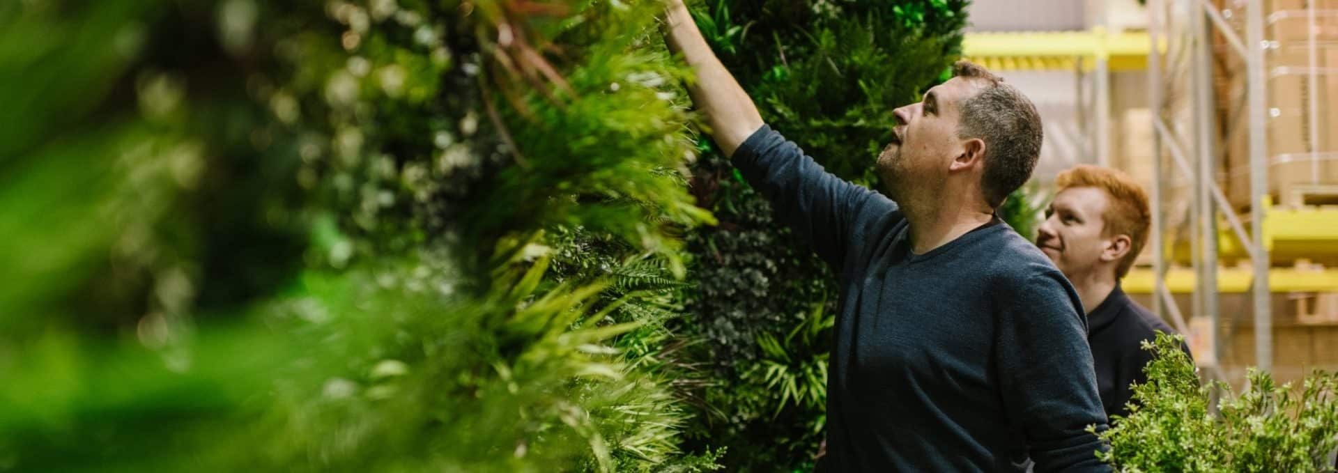 Two people inspect a wall covered in lush green plants. One person reaches up to adjust the foliage, while the other looks on. The scene is set indoors, with light illuminating the plants and shelves in the background.