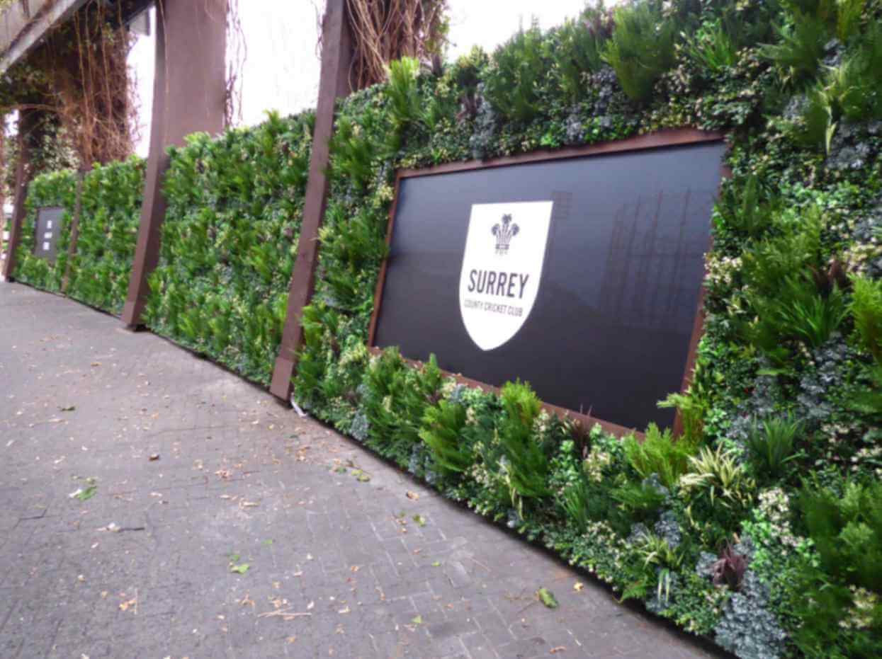 A lush artificial green wall installation envelops a rectangular black sign showcasing the white emblem of the Surrey County Cricket Club. This vibrant display graces a paved walkway under a bridge at the iconic Oval Cricket Ground in London, UK.