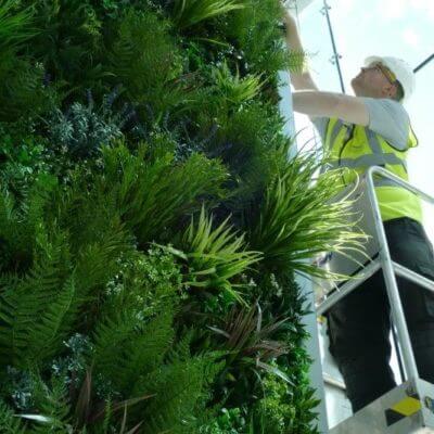 A worker in a yellow vest and white helmet is on a ladder, installing an Artificial Green Wall Fixing System. The wall is lush with green ferns and various foliage.