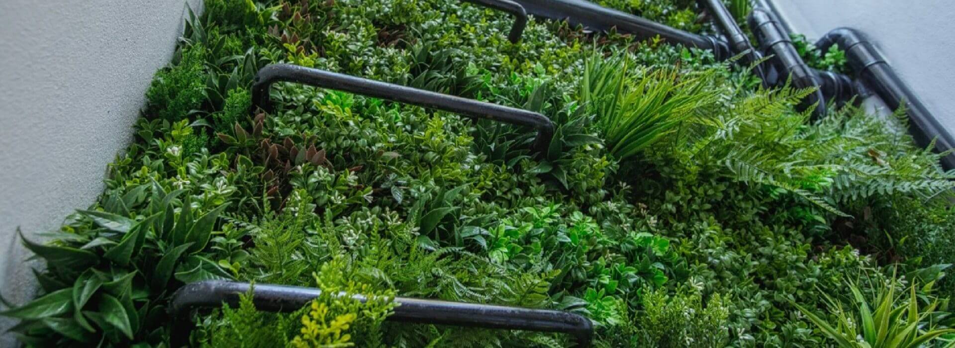 A lush vertical garden with various green plants and visible black railings transforms into a stunning green wall, offering a vibrant natural tapestry along the vertical surface. The diverse shades and textures also serve as an elegant privacy screen on this beautifully adorned structure.