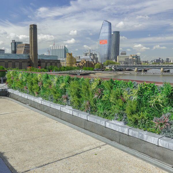 View of a cityscape with modern skyscrapers and a river. In the foreground, a rooftop garden with various green plants lines the pathway, prompting reflection: what's better—real or artificial plants? The sky is partly cloudy.