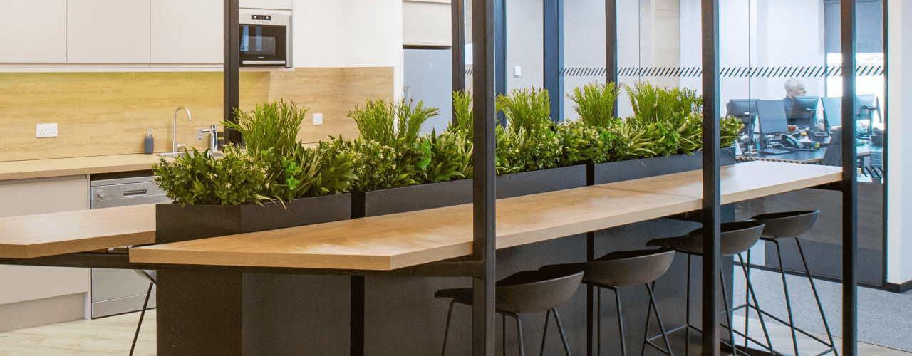 Modern office kitchen with a long wooden counter surrounded by black stools. Potted green plants, reminiscent of the natural enjoyment of a Vistafolia artificial vertical hedge, line the center. In the background, there's a kitchenette with an oven and sink, and an office area with people working.