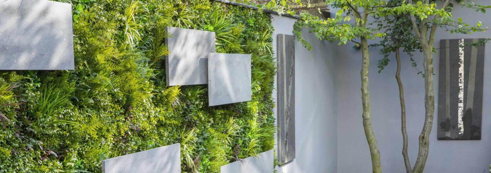 A vertical garden wall with lush green plants and rectangular stone panels complements a smooth, light gray wall. This Green Wall Landscaping Design in London, UK, features a small tree on the right, with delicate branches casting soft shadows, adding a natural touch to the space.