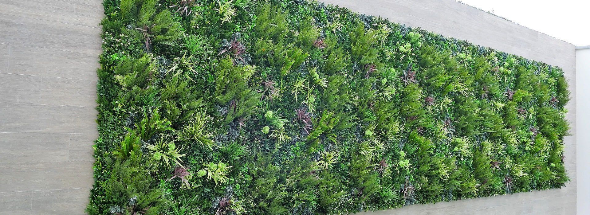 A large vertical garden system adorns the wall, featuring a lush, dense arrangement of green and purple foliage. The plants vary in texture and shape, crafting a vibrant natural tapestry against the plain background.