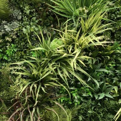 The Large Grasses Texture Box offers a lush vertical garden experience with an assortment of green plants, featuring ferns and long, spiky leaves for a vibrant and dense foliage texture.