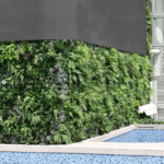 Artificial Green wall surrounding swimming pool